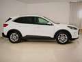 Ford Kuga 1,5 EcoBlue Titanium X Aut. Weiß - thumbnail 4