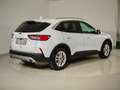 Ford Kuga 1,5 EcoBlue Titanium X Automatik Weiß - thumbnail 5