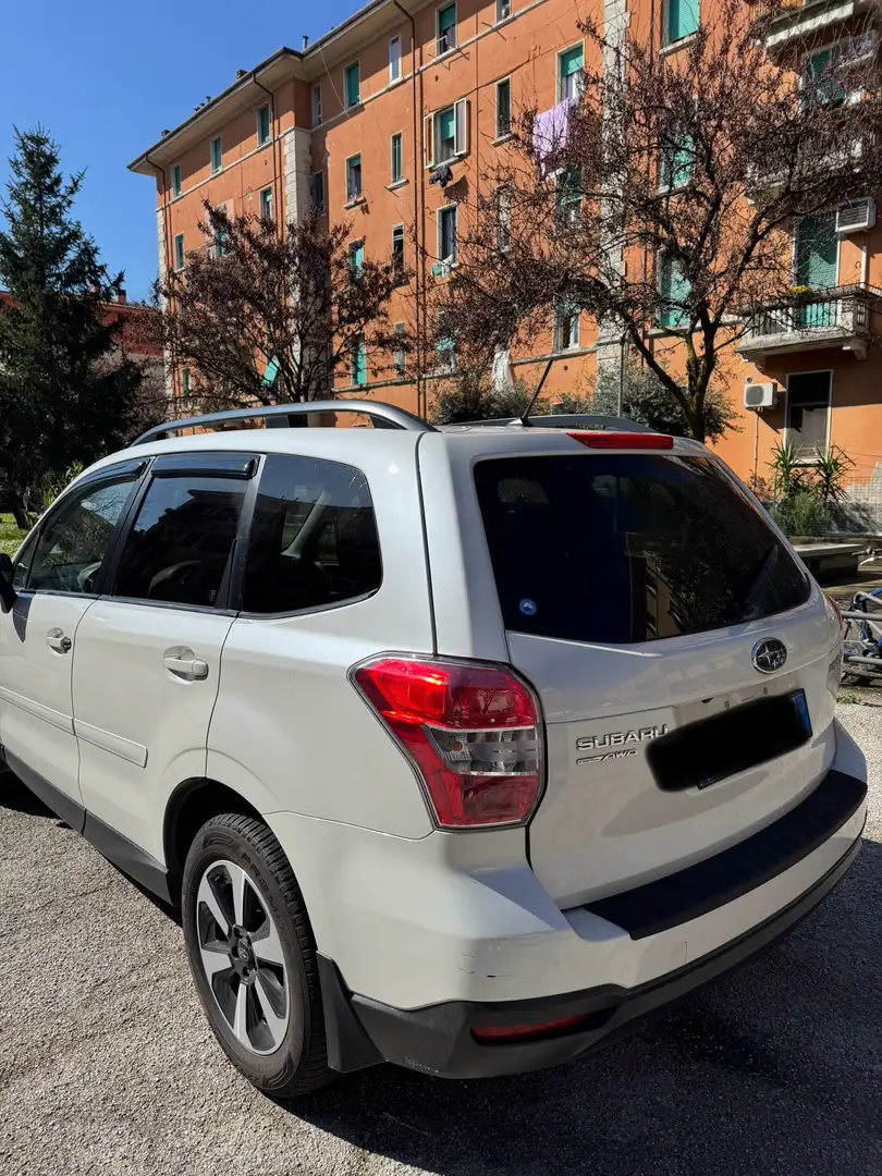 Subaru White - 1