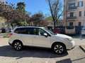 Subaru White - thumbnail 3