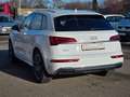 Audi Q5 35 TDI S-LINE/NAVI/LED/KAMERA/AMBIENTELICHT Blanc - thumbnail 4