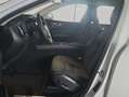 Volvo XC60 XC60 B4 D Core Weiß - thumbnail 7