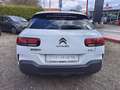 Citroen C4 Cactus PureTech 110 Manuell Feel Weiß - thumbnail 8