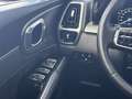 Kia Sorento 1.6T PHEV | PLATINUM | HUD | NAP Blanc - thumbnail 15