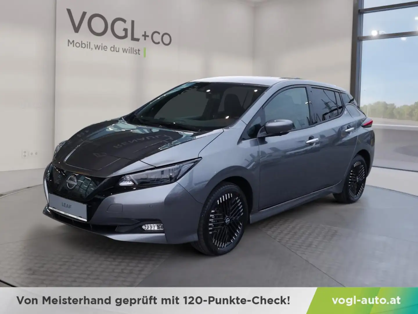 Nissan Leaf e+ Tekna 59 kWh 217 PS Grau - 1