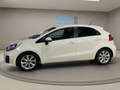Kia Rio 1.2 CVVT Tech Blanco - thumbnail 11