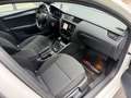 Skoda Octavia Combi 2.0 TDI DSG Style Limited | AHK | Panorama Weiß - thumbnail 18