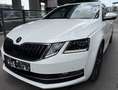Skoda Octavia Combi 2.0 TDI DSG Style Limited | AHK | Panorama Weiß - thumbnail 4