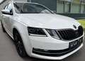 Skoda Octavia Combi 2.0 TDI DSG Style Limited | AHK | Panorama Weiß - thumbnail 2