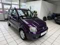 Fiat Panda 1.2 8V Dynamic Klima Garantie TÜV neu Violett - thumbnail 3