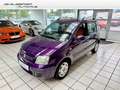 Fiat Panda 1.2 8V Dynamic Klima Garantie TÜV neu Violett - thumbnail 1