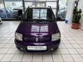 Fiat Panda 1.2 8V Dynamic Klima Garantie TÜV neu Violett - thumbnail 2