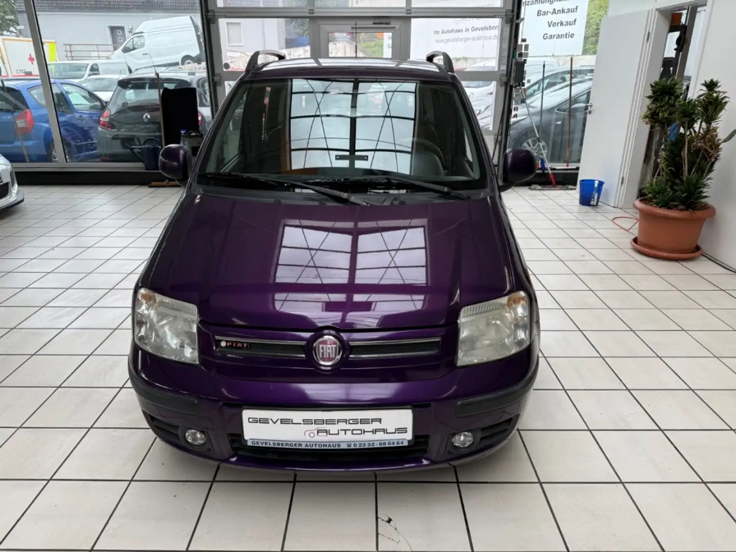 Fiat Panda 1.2 8V Dynamic Klima Garantie TÜV neu Violett - 2