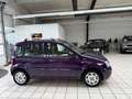 Fiat Panda 1.2 8V Dynamic Klima Garantie TÜV neu Violett - thumbnail 4