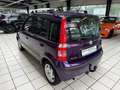 Fiat Panda 1.2 8V Dynamic Klima Garantie TÜV neu Violett - thumbnail 6