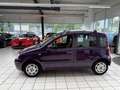 Fiat Panda 1.2 8V Dynamic Klima Garantie TÜV neu Violett - thumbnail 5