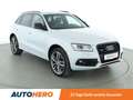 Audi Q5 2.0 TDI quattro Aut.*NAVI*XENON*ACC*CAM* Білий - thumbnail 8