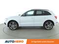 Audi Q5 2.0 TDI quattro Aut.*NAVI*XENON*ACC*CAM* Білий - thumbnail 3
