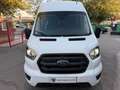 Ford Transit FT 350 L2 Van Trend 130 Blanco - thumbnail 3