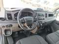 Ford Transit FT 350 L4 Chasis Trend Tr. Tra. 130 Blanco - thumbnail 13
