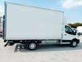 Ford Transit FT 350 L4 Chasis Trend Tr. Tra. 130 Blanco - thumbnail 5