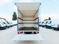 Ford Transit FT 350 L4 Chasis Trend Tr. Tra. 130 Blanco - thumbnail 7