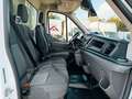 Ford Transit FT 350 L4 Chasis Trend Tr. Tra. 130 Blanco - thumbnail 12