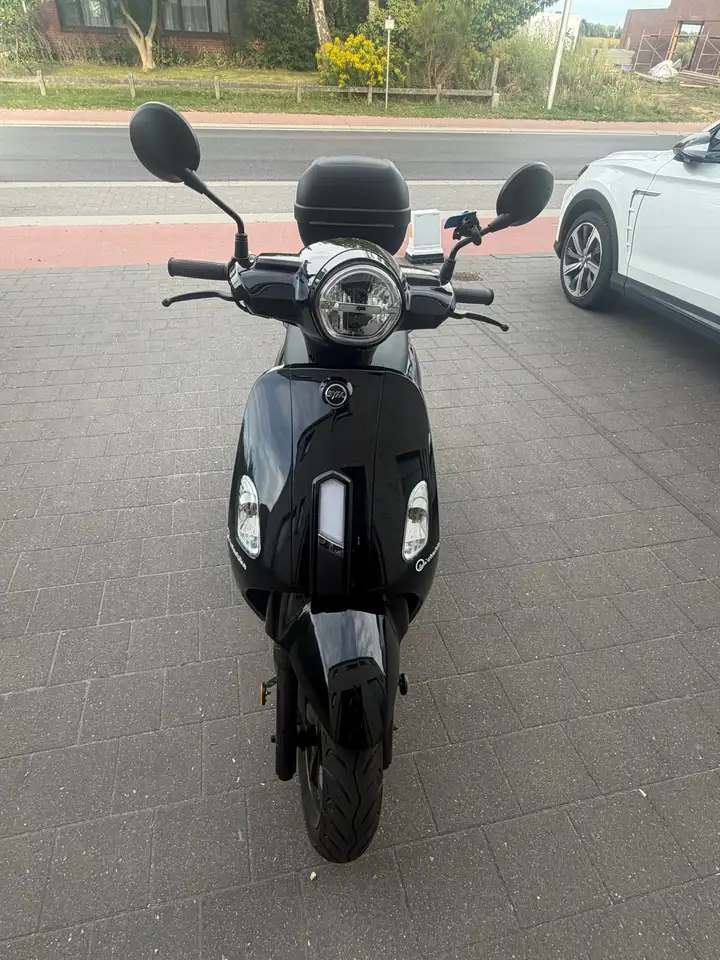 Sym Fiddle 50