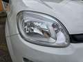 Fiat Panda 1.0 FireFly S&S Hybrid Easy Weiß - thumbnail 14