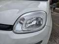 Fiat Panda 1.0 FireFly S&S Hybrid Easy Weiß - thumbnail 15