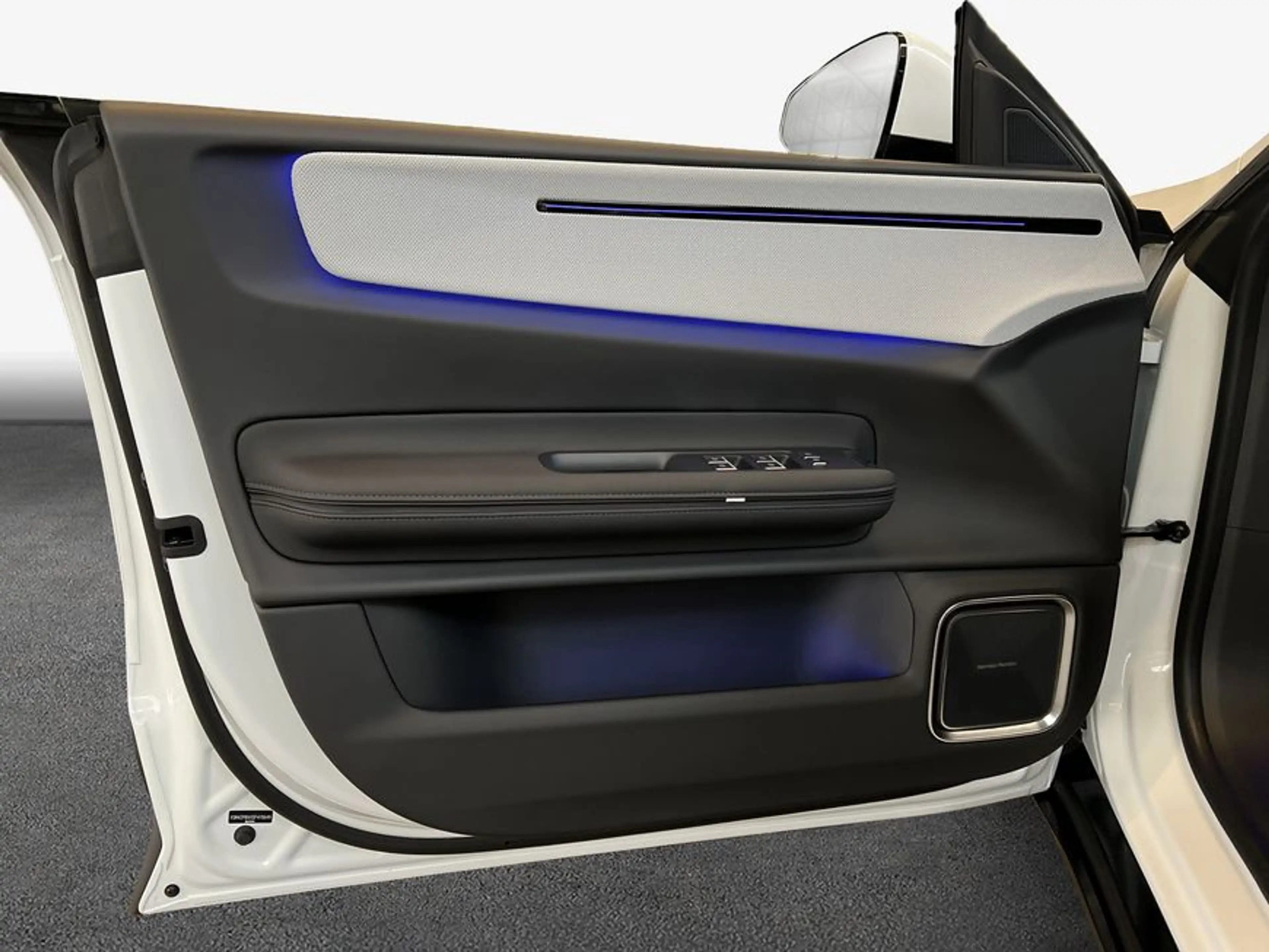 Polestar 4 Single-Motor Glasd 21'' Pilot- Pro- Plus-Paket M — photo 20