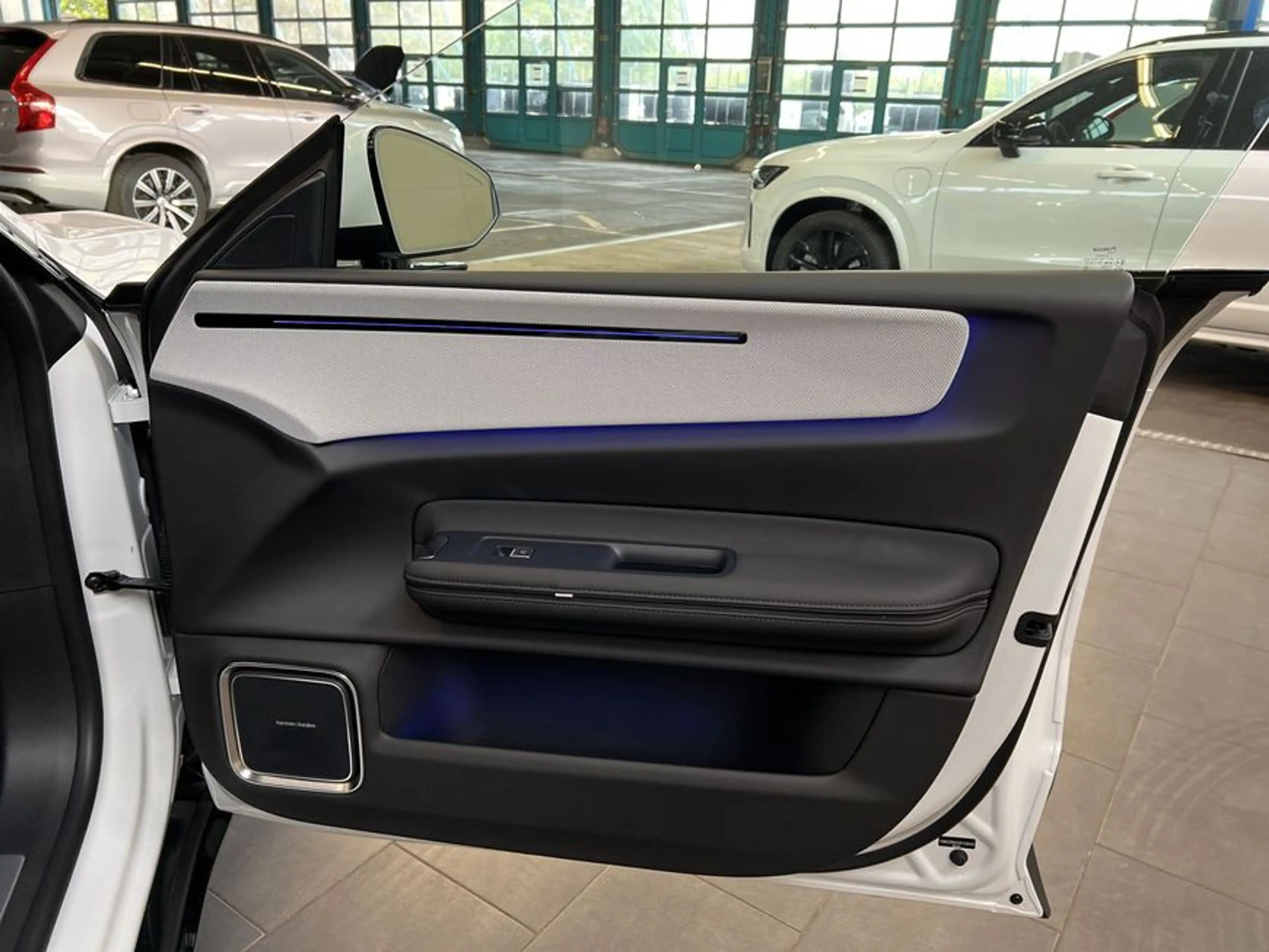 Polestar 4 Single-Motor Glasd 21'' Pilot- Pro- Plus-Paket M — photo 21