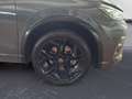 Volkswagen Tiguan 2.0 TDI 4MOTION DSG R-Line *AHK*PANO*HEAD Grau - thumbnail 12