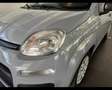 Fiat Panda 3ª serie 1.0 FireFly S&S Hybrid Grijs - thumbnail 7