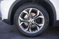 BMW X3 X3 xDrive20d xLine Unicoproprietario Білий - thumbnail 5