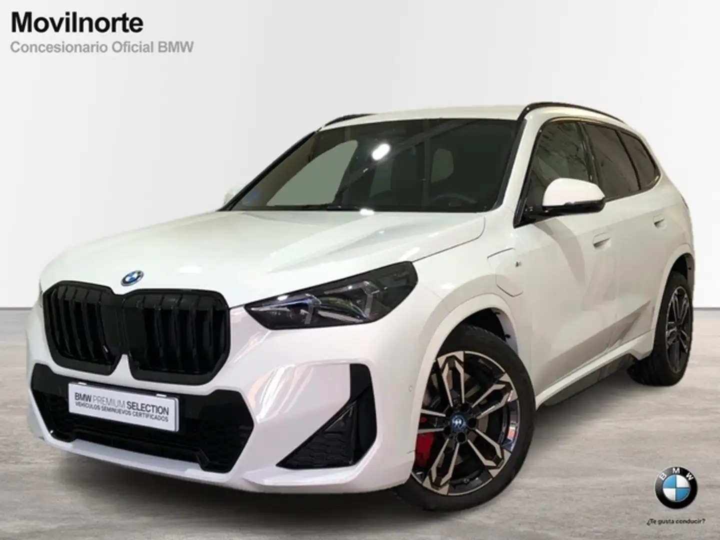 BMW X1 xDrive25eA Bianco - 1