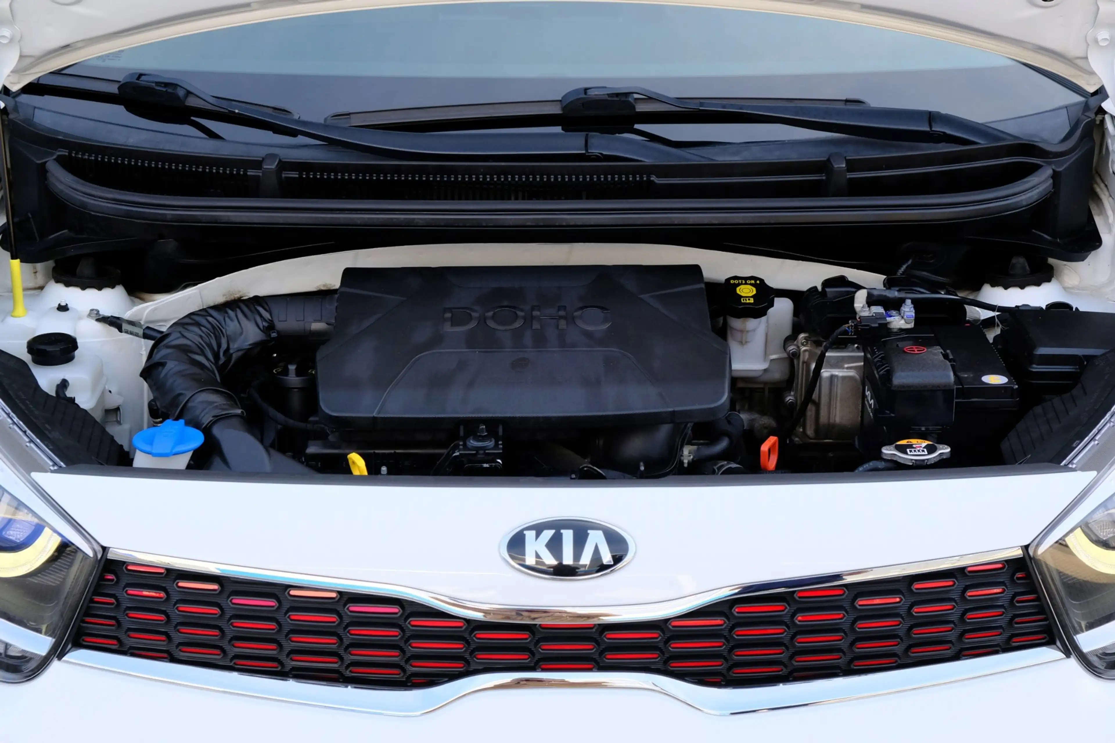 Kia Picanto 1.2 CVVT DynamicPlusLine, Leder, Stoel/stuurverw., — photo 30