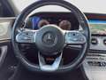 Mercedes-Benz CLS 350 d 4M*LUFT*AHK*CARPLAY*STANDHEIZUNG*BURME* Grau - thumbnail 20