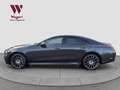 Mercedes-Benz CLS 350 d 4M*LUFT*AHK*CARPLAY*STANDHEIZUNG*BURME* Grau - thumbnail 15
