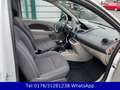 Renault Twingo Night & Day !! Panoramadach !! Klima !! Weiß - thumbnail 12