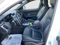 Jaguar E-Pace 2.0D 150 CV AWD aut. R-Dynamic S TETTO PANORAMICO Bianco - thumbnail 9