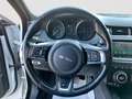 Jaguar E-Pace 2.0D 150 CV AWD aut. R-Dynamic S TETTO PANORAMICO Bianco - thumbnail 14