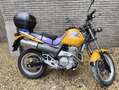 Honda SLR 650 Giallo - thumbnail 5
