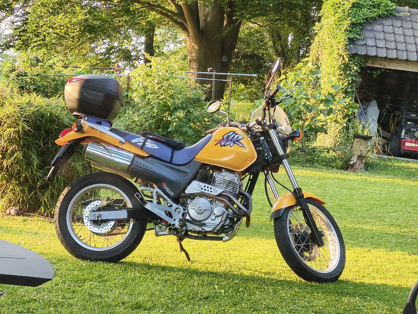 Honda SLR 650 Giallo - 1