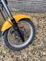 Honda SLR 650 Giallo - thumbnail 6
