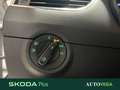 Skoda Octavia wagon 1.5 g-tec executive 130cv dsg Bianco - thumbnail 14