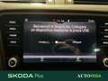 Skoda Octavia wagon 1.5 g-tec executive 130cv dsg Bianco - thumbnail 13