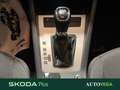 Skoda Octavia wagon 1.5 g-tec executive 130cv dsg Bianco - thumbnail 12