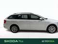 Skoda Octavia wagon 1.5 g-tec executive 130cv dsg Bianco - thumbnail 3