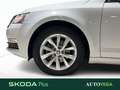 Skoda Octavia wagon 1.5 g-tec executive 130cv dsg Bianco - thumbnail 17